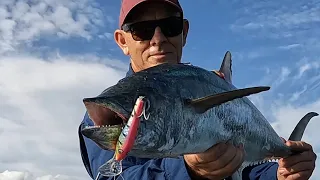 Brilliant Inshore Fishing Townsville - WAY TOO CLOSE!!