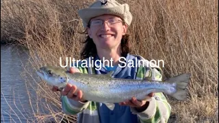 Surprise While Trout Fishing - Salmon on Ultralight.