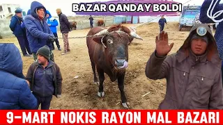 9-МАРТ НОКИС РАЙОН МАЛ БАЗАР/СКОТНЫЙ РЫНОК/BUQALAR/BIGGEST BULLS IN THE WORLD/BIGG BULLS