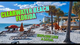 Clearwater Beach Florida: A Local's Guide to the Best Things to Do, See, and Eat