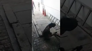 Unbelievable welding prank gone wrong