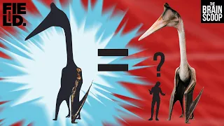 Going out on a limb for Quetzalcoatlus