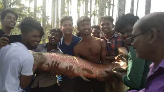 50 K.G. ARAPAIMA FISHING I RIVER MONISTER