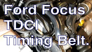 Ford Focus 1.6 TDCI Timing belt Replacement. How to replace.