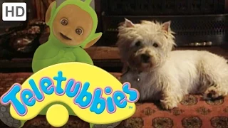 Teletubbies: Dirty Dog - Full Episode