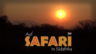 Auf Safari in Südafrika (1/3) [Reportage / Doku / Dokumentation Deutsch]