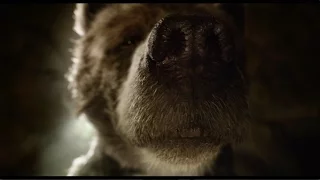 "Baloo" Clip - Disney's The Jungle Book