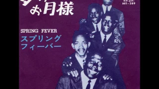 夢のお月様／ザ・ヴェルヴェッツ　The Velvets - Tonight（Could Be The Night）（1961年）