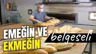 Ekmek Belgeseli