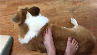 Foot massage