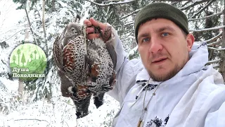 Охота по первому снегу. Секреты охоты на рябчиков. Сказочный зимний лес.