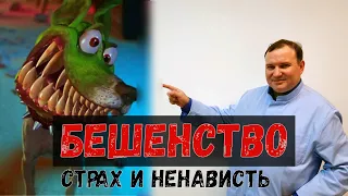 Бешенство! Чем опасно и что делать?! 🐕 Доктор Одарюк