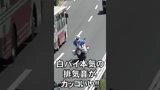 遠距離でも過積載のトラックを一瞬で見分ける鷹の目を持った白バイ隊員 #shorts