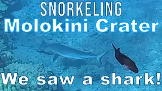 Snorkeling at Molokini Crater with the Four Winds II