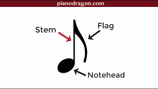 Rhythm Basics: Music Note-Duration