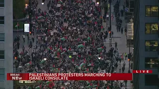 Hundreds of Palestinian protesters march in downtown Chicago