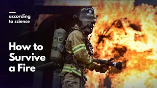 How to Survive a Fire, According to Science