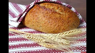 Тамара Коломієць "Хліб"
