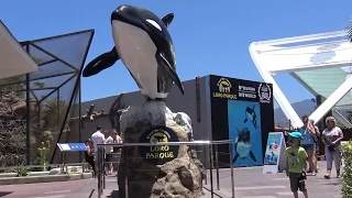 Loro Parque in 4K - Tenerife