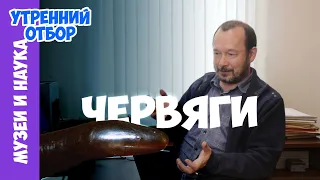 Загадка безногих амфибий с острова Святого Фомы. Игорь Фадеев