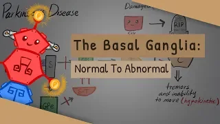 The Basal Ganglia: The direct and indirect pathways