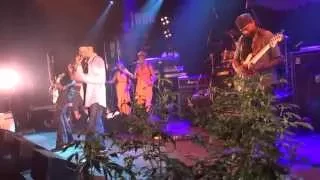 BERES HAMMOND & HARMONY HOUSE BAND live in Vienna 20150709