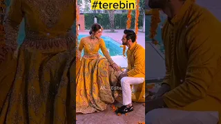 Meerab and Wahaj ali best moments 🥰🥰♥️♥️#terebin #youtube #shorts