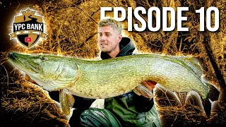 AWESOME! Angler Catches GIGANTIC YPC RECORD! | YPC BANK 23 Episode 10