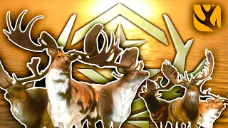 SHOOTING *SIX GREAT ONE FALLOW!* IN THE HUNTER CALL OF THE WILD! PLUS STEAM/PC GAME & DLC GIVEAWAY!