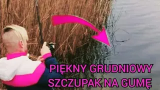 PIĘKNY GRUDNIOWY SZCZUPAK na gumę!