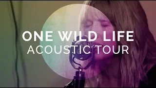 One Wild Life Acoustic Tour | Gungor [JULY-AUGUST 2017]