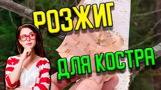 Современные люди не знают про этот розжиг, который можно найти в лесу