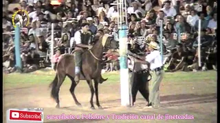 jineteada Diamante 2009 categoria clinas imperdible #Jinetesdelpasado #Lareinadelasjineteadas #horse