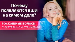 Почему появляются вши на самом деле?