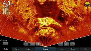 Проба на воде ! Наклон перспективы! LiveScope