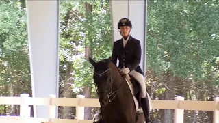 Learning the Olympic Sport: Equestrian Dressage