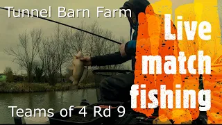 Live match fishing at Tunnel Barn Farm