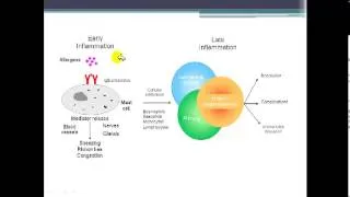 Bronchial Asthma