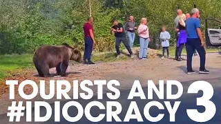 Tourists and #IDIOCRACY 3