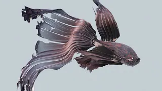 I Put a Moving Fish in Blender