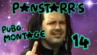 Panstarr's Stream Montage 14