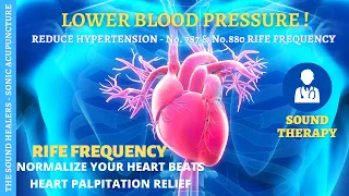 LOWER BLOOD PRESSURE ➤Binaural Beats ➤𝐑𝐈𝐅𝐄 𝐍𝐨. 𝟕𝟖𝟕/𝟖𝟖𝟎 Normalize Your Heartbeat ➤Reduce Hypertension