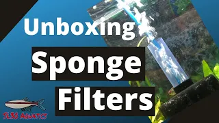 Sponge filter Unboxing and Review | SL30 Unboxed | SL30 Aquatics