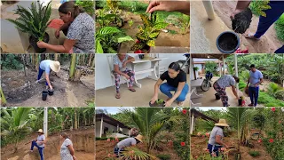 VITÓRIA CADA DIA MAIS APAIXONADA PELAS PLANTAS⚘️🌺! OLHAS MUDAS DEI A ELA + PODA DOS COQUEIROS🌴