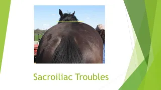 Sacroiliac Troubles