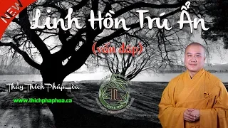 Cây Cổ Thụ Có LINH HỒN TRÚ ẨN Không? (vấn đáp) - Thầy Thích Pháp Hòa