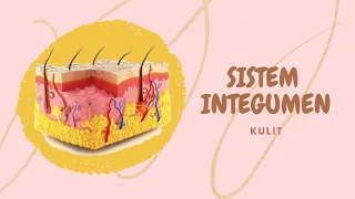 SISTEM INTEGUMEN (KULIT) | SUB INDONESIA | ZELFIRA LATIFAH DEWI