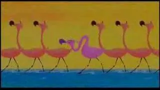 Les flamands rose