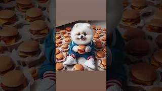 Cute dog loves burgers but loves more love #dog #cute