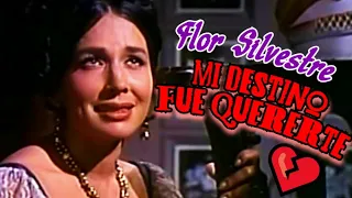 Mi destino fue quererte (video musical de Flor Silvestre) HD